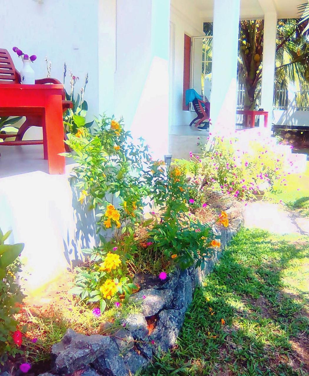 La Perla Bentota Hotel Exterior photo